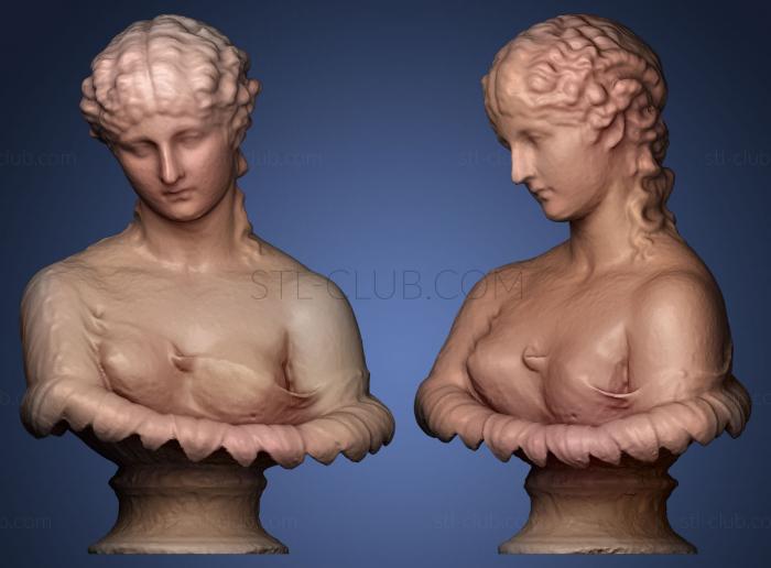 3D model Clytie (STL)